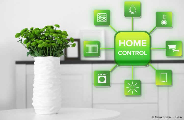 Smart-Home-Grafik und Tischpflanze